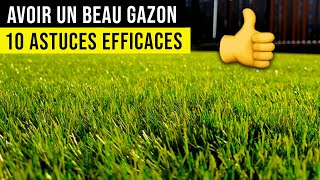 Comment Avoir un BEAU GAZON 10 Conseils de Pro  👍 [upl. by Malcolm178]