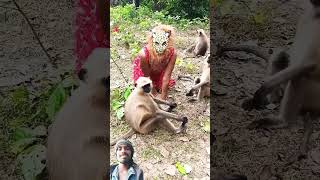 दीदी dra रही है monkey को mankey funny love funnyanimal [upl. by Cooke]