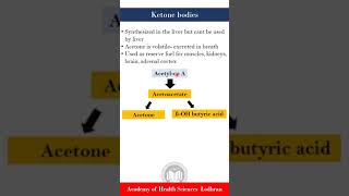 Ketone Bodies  Biochemistry  by Imran Yaseen [upl. by Saw]