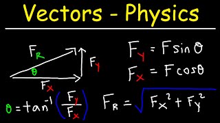 Vectors  Basic Introduction  Physics [upl. by Augustina188]