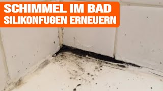 Schimmel im Bad entfernen  Silikonfugen erneuern [upl. by Aicissej]