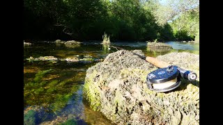 Journée de pêche à la truite dans le Dessoubre  2019 [upl. by Eaves]