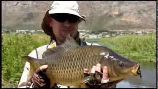 Stalking carp on fly with Sean Mills [upl. by Ahsihat]