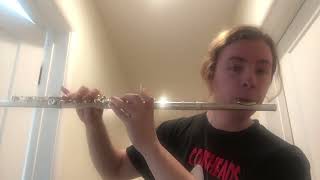 Littleroot Town Theme on Flute [upl. by Walcoff]