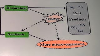 Sewage treatment plant basicPart 1 AerobicampAnaerobic process Engineers ViewASHOkRAJ S Tamil [upl. by Llabmik]