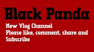 New YouTube channel  Black Panda  2024 [upl. by Helli137]