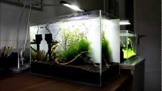 Aquael LED Decolight 5 Watt – Aquascapiade – Der AquascapingBlog [upl. by Bonine906]