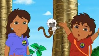 Go Diego Go  5x05  Cotton Top Tamarin Cave Rescue Best Moment Plus [upl. by Irrehs]