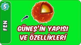 Güneşin Yapısı ve Özellikleri  5Sınıf Fen evokul Kampı [upl. by Sirromal781]