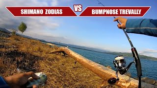 Shimano Zodias VS Bumpnose Trevally [upl. by Vinson]