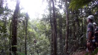 Tarzan Swing Safari Adventures Costa RIca [upl. by Ajed]