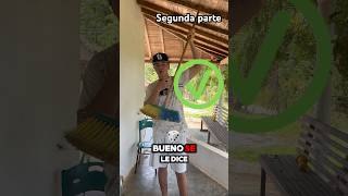 Tutorial para como barrer 🧹 parte Dos humor tutorial comedia colombia viralshorts [upl. by Lorant473]