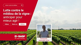 Lutte contre le mildiou de la vigne  anticiper pour mieux agir [upl. by Hasheem]