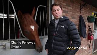 Oddschecker with Charlie Fellowes [upl. by Ardnaik]