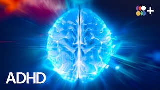 How Is the ADHD Brain Different [upl. by Aleekat]