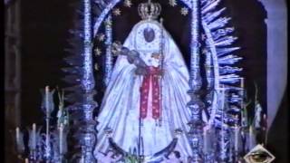 1994  Visita de la Virgen de Candelaria a StaCruz de Tenerife [upl. by Emelda465]