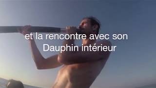 DAUPHINS LIBRES AU SON DU DIDGERIDOO [upl. by Ainoda]