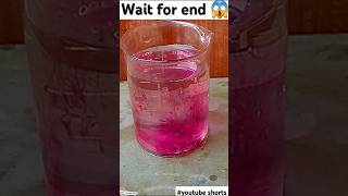 Potassium permanganate 😱 trending potassium CrazyXYZ trend youtubeshorts [upl. by Erdne299]