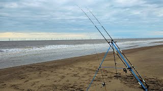 Hectic short session fishing Trunch Lane on the Lincolnshire coast [upl. by Hazmah135]