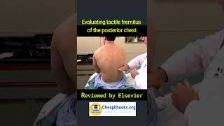 MS062 Evaluating tactile fremitus of the posterior chest [upl. by Selestina299]