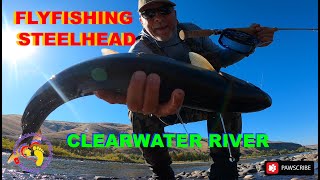 Clearwater River Idaho Steelhead Spey Fly Fishing 4x4 truck camper adventure Trailer [upl. by Khan]