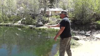 Tenkara fly fishing in Rons pond on Bishop creek [upl. by Anileme]