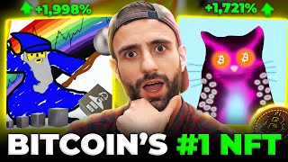 Why is Taproot Wizards the NEW 1 Bitcoin NFT Collection Taproot Wizards Explained ft Dan Held [upl. by Ahsenrat]