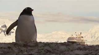 See Ponants Le Boreal in Antarctica  Iglucruise [upl. by Valenza]