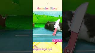 🐹Hamster Escapes the awesome Maze for Pets in real life 🐹 in Hamster Story hamstermazewithtraps [upl. by Rehpotsirhcnhoj]