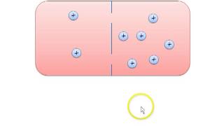 Membranpotential und elektrochemisches Gleichgewicht [upl. by Jerrine858]