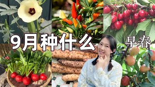 【种植88】9月种什么｜家庭园艺 春季种菜 What vegetables can plant in September [upl. by Esahc]