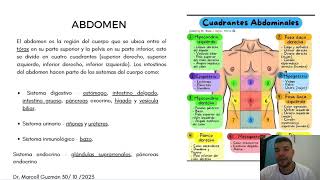 Presentación de abdomen [upl. by Ennairrac]