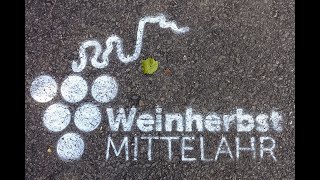 Unterwegs mit Hunden Weinherbst Mittelahr 2024 [upl. by Swisher]