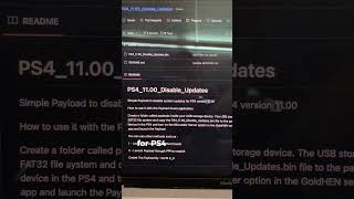 New payload to disable updates for a PS4 110 [upl. by Hisbe421]