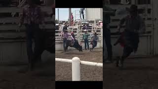 yep thats me youre probably wondering pbr bullriding bullriders famousshorts ucw farm fyp [upl. by Joiner]