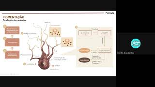 Patologia NOT  Pigmentações e calcificações [upl. by Adriano]