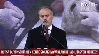 Bursa Büyükşehirden Kente Sokak Hayvanları Rehabilitasyon Merkezi [upl. by Uhayile510]