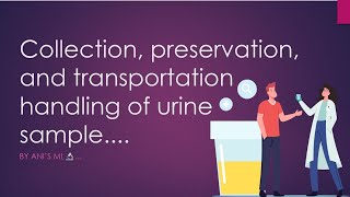 Collection preservation transportation and sample handling guidelines for urine specimen [upl. by Ardelis]