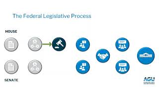 From Bill to Law The US Legislative Process [upl. by Ariek]