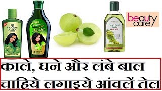 Top 10 Best Amla Hair Oil Brands for Hair Growth [upl. by Hehre377]