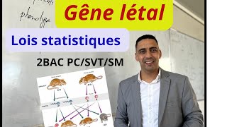 gène létal monohybridisme lois statistiques BAC PCSVTSM [upl. by Compte70]