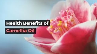 Health Benefits of Camellia Oil [upl. by Orvan140]