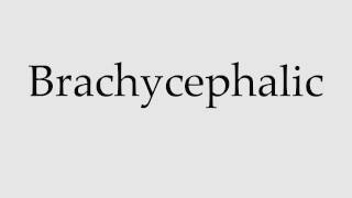 How to Pronounce Brachycephalic [upl. by Giustino]