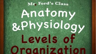 Introduction To Anatomy Physiology Levels of Organization 0103 [upl. by Tadeo591]