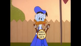 Walt Disney Treasures Donald Duck Review Part 3 [upl. by Novello495]