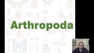 Arthropods Notes [upl. by Woodie]