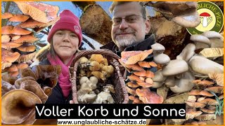 Voller Pilz Korb und Winter Sonne  Vitalpilze suchen bei Frost und Schnee  pilziger Januar 2024 [upl. by Lowis]