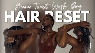 Mini Twist Wash Day Routine Ultimate Hair Reset amp Refresh [upl. by Leler998]