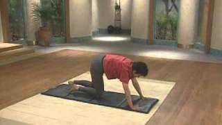 Lilias Yoga  Cardio Challenge 5 [upl. by Janot430]