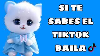 Si Te Sabes El TikTok Baila  2023 [upl. by Solim]